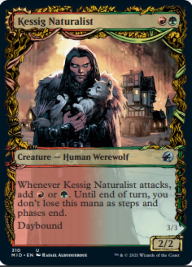 Kessig Naturalist // Lord of the Ulvenwald (Showcase Equinox) [Innistrad: Midnight Hunt] | Rook's Games and More