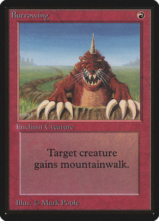 Burrowing [Limited Edition Beta] | Rook's Games and More