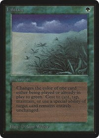 Lifelace [Limited Edition Beta] | Rook's Games and More