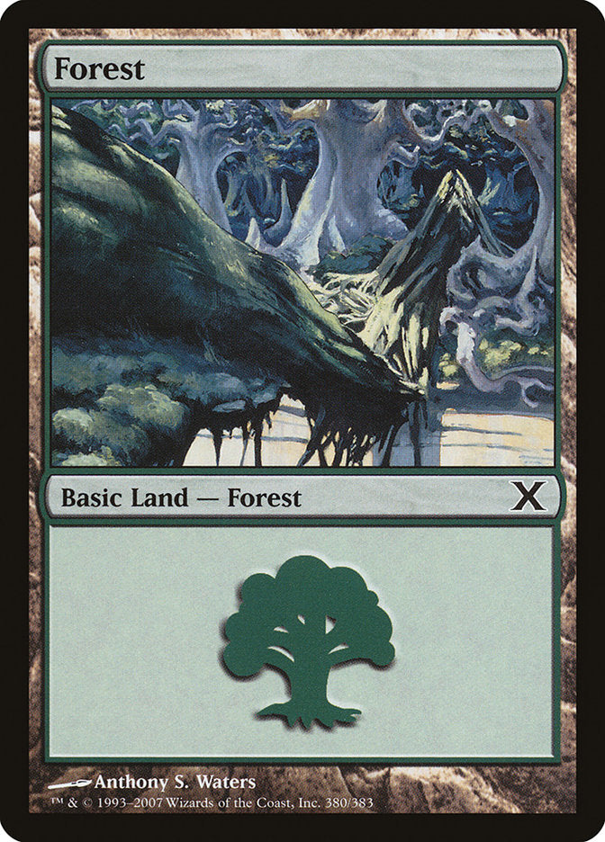 Forest (380) [Tenth Edition] | Rook's Games and More