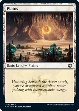 Plains (265) [Dungeons & Dragons: Adventures in the Forgotten Realms] | Rook's Games and More