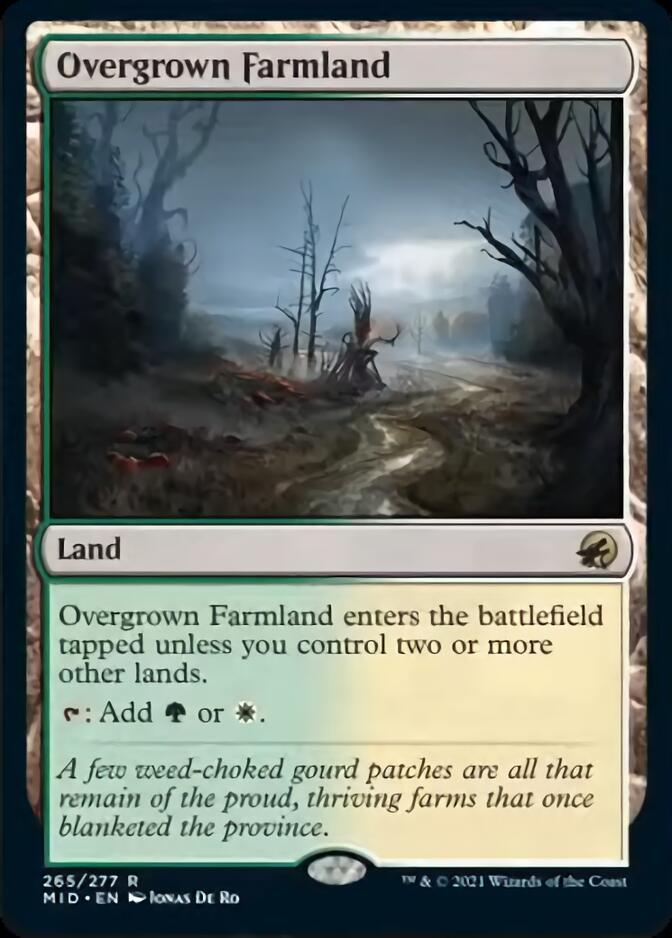 Overgrown Farmland [Innistrad: Midnight Hunt] | Rook's Games and More