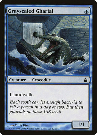 Grayscaled Gharial [Ravnica: City of Guilds] | Rook's Games and More