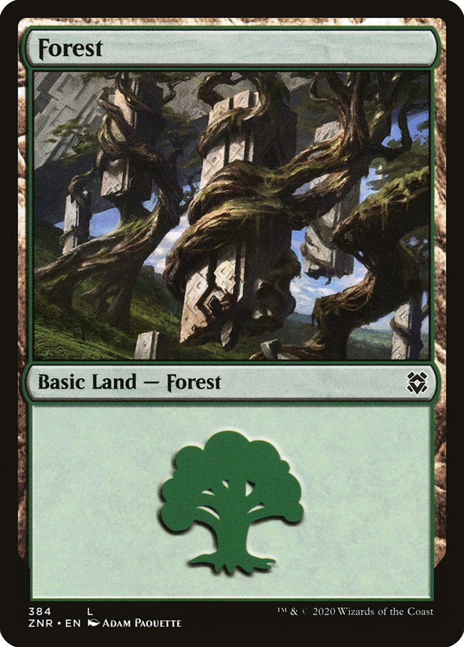 Forest (384) [Zendikar Rising] | Rook's Games and More