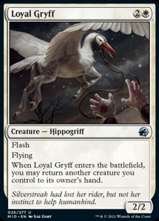 Loyal Gryff [Innistrad: Midnight Hunt] | Rook's Games and More