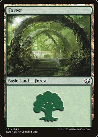 Forest (262) [Kaladesh] | Rook's Games and More