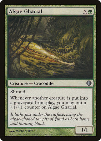 Algae Gharial [Shards of Alara] | Rook's Games and More