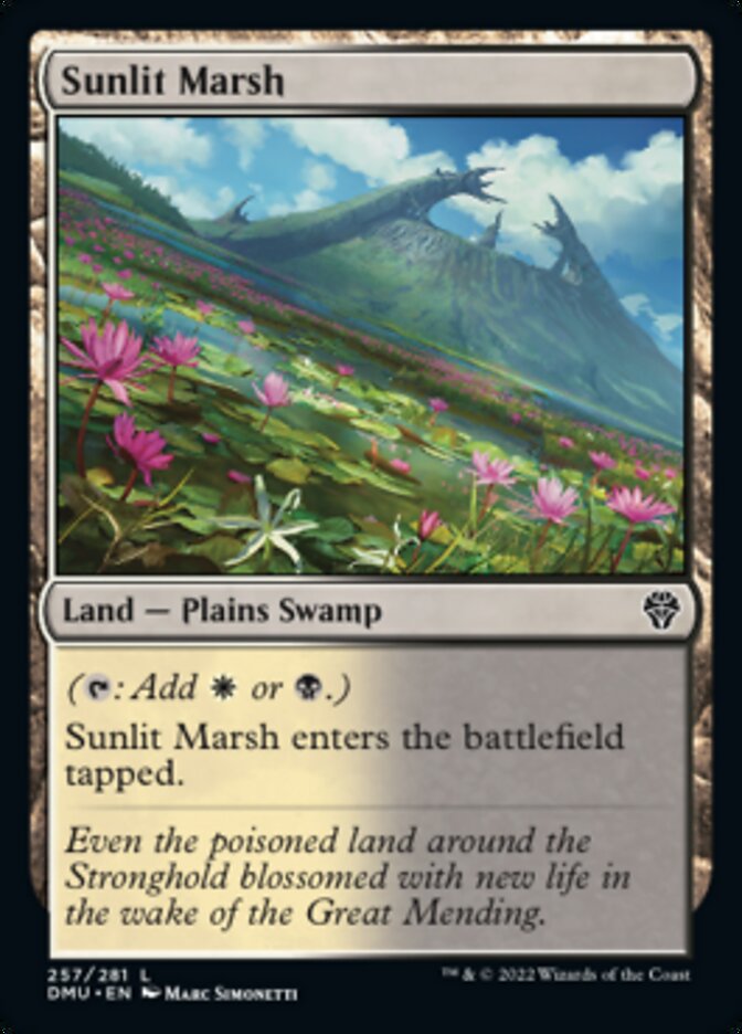 Sunlit Marsh [Dominaria United] | Rook's Games and More