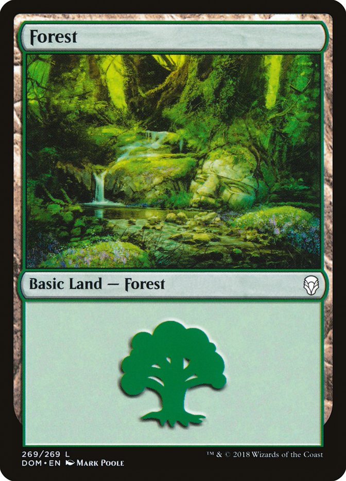 Forest (269) [Dominaria] | Rook's Games and More