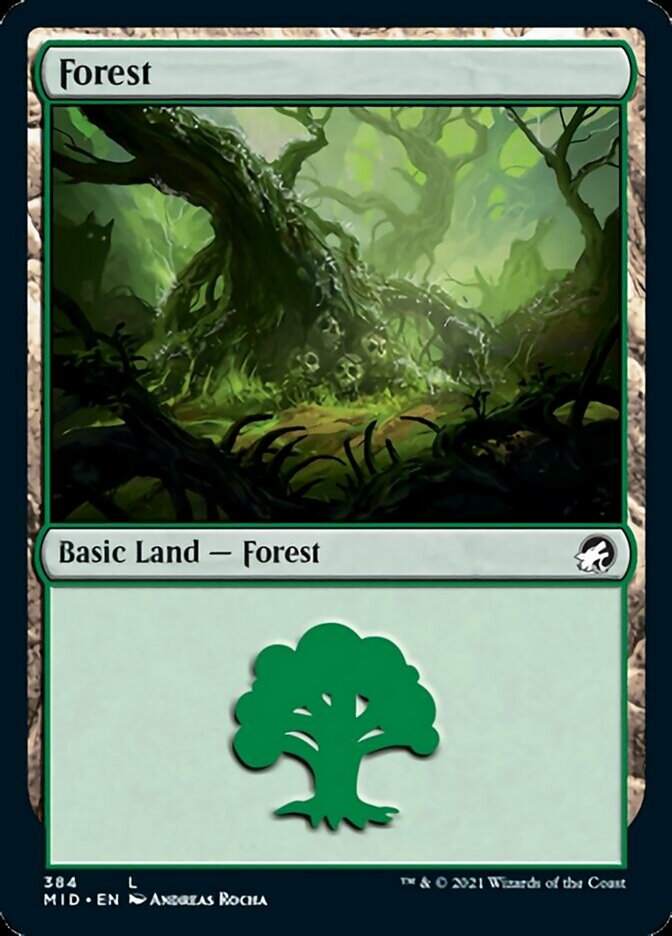 Forest (384) [Innistrad: Midnight Hunt] | Rook's Games and More