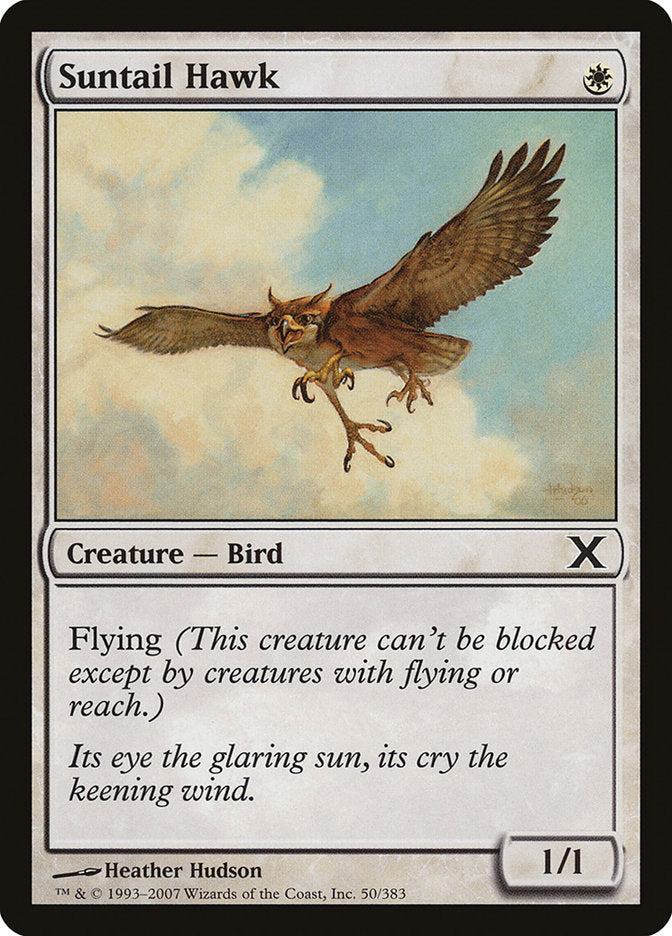 Suntail Hawk [Tenth Edition] | Rook's Games and More