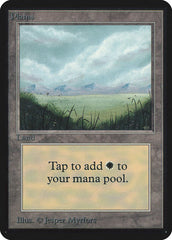 Plains (A) [Limited Edition Alpha]