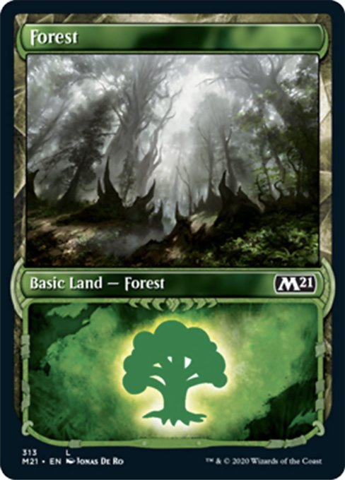 Forest (Showcase) [Core Set 2021] | Rook's Games and More