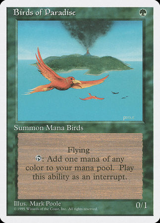 Birds of Paradise [Fourth Edition] | Rook's Games and More