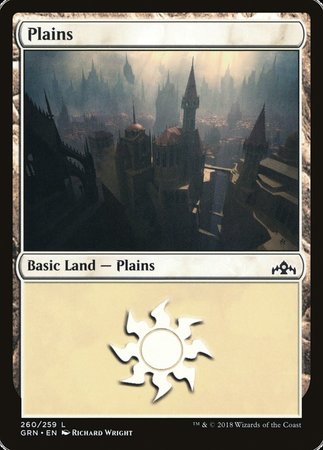 Plains [Guilds of Ravnica] | Rook's Games and More