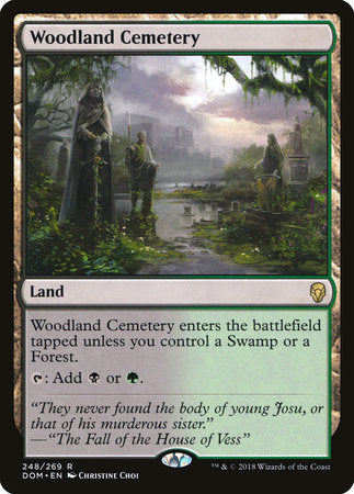 Woodland Cemetery [Dominaria] | Rook's Games and More