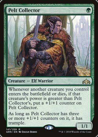 Pelt Collector [Guilds of Ravnica] | Rook's Games and More