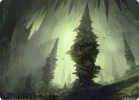 Forest (280) Art Card [Dungeons & Dragons: Adventures in the Forgotten Realms Art Series] | Rook's Games and More