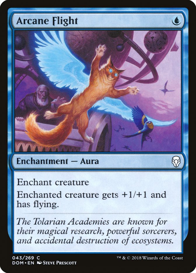 Arcane Flight [Dominaria] | Rook's Games and More