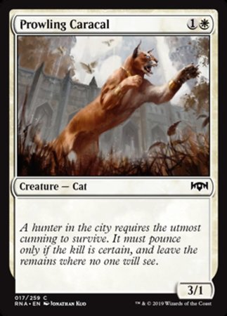 Prowling Caracal [Ravnica Allegiance] | Rook's Games and More