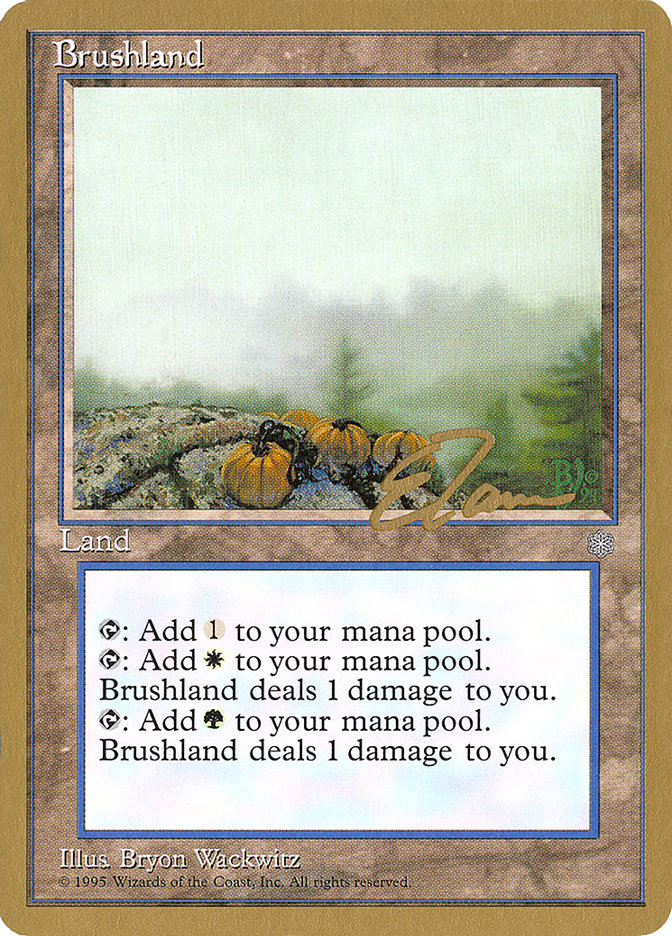 Brushland (Eric Tam) [Pro Tour Collector Set] | Rook's Games and More