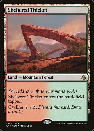 Sheltered Thicket [Amonkhet] | Rook's Games and More