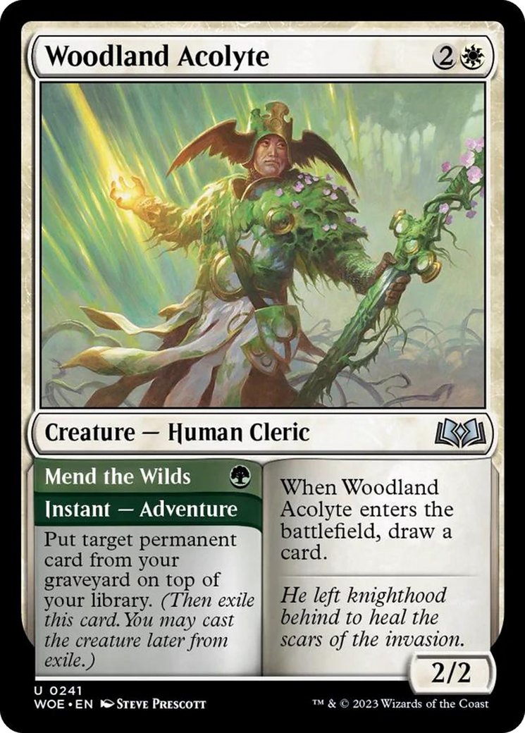 Woodland Acolyte // Mend the Wilds [Wilds of Eldraine] | Rook's Games and More
