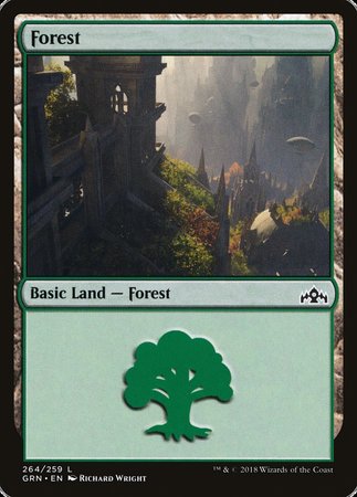 Forest [Guilds of Ravnica] | Rook's Games and More