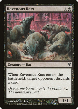 Ravenous Rats [Duel Decks: Izzet vs. Golgari] | Rook's Games and More