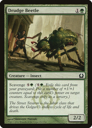 Drudge Beetle [Return to Ravnica] | Rook's Games and More
