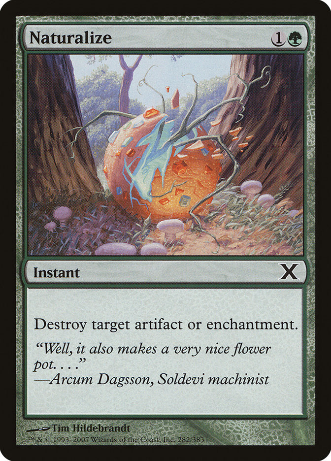 Naturalize [Tenth Edition] | Rook's Games and More