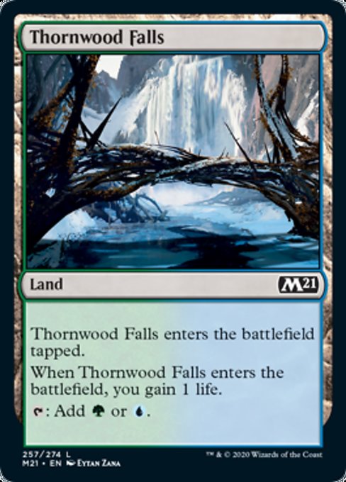 Thornwood Falls [Core Set 2021] | Rook's Games and More