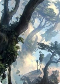 Forest 1 Art Card [Zendikar Rising Art Series] | Rook's Games and More